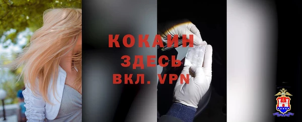мяу мяу мука Волоколамск