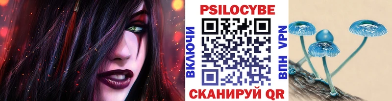 Псилоцибиновые грибы Cubensis  Новоржев 